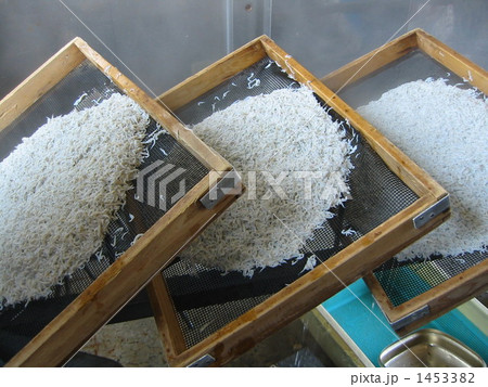 腰越漁港の釜揚げシラス 1453382