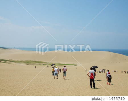 鳥取砂丘 1453710