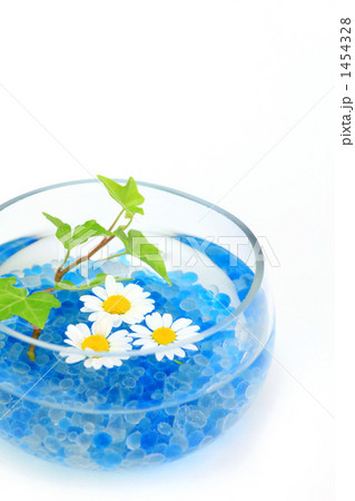 花とアイビー 花とアイビー 1454328