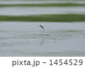 1454529