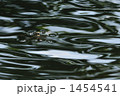 1454541
