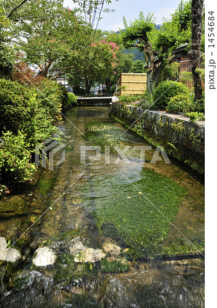 醒ヶ井は地蔵川の清流風景～その１ 1454684