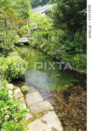醒ヶ井は地蔵川の清流風景~その2 醒ヶ井は地蔵川の清流風景~その2 1454696