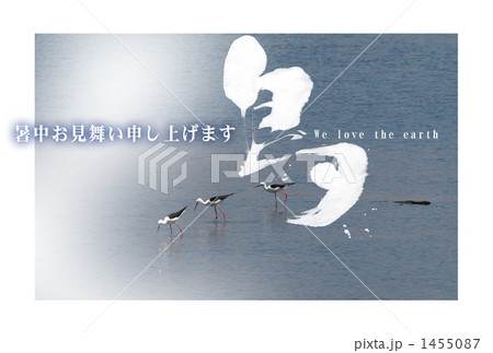 We love the earth 野鳥 1455087