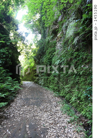 朝比奈切通 朝比奈切通 1455190