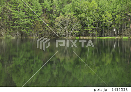 静かな時 1455538