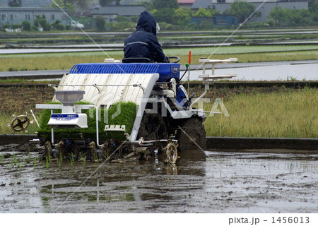 田植え 1456013