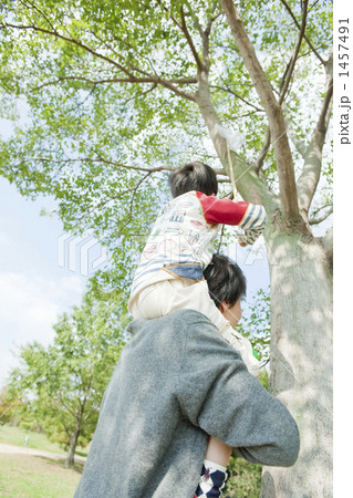公園で虫取りをする親子 1457491
