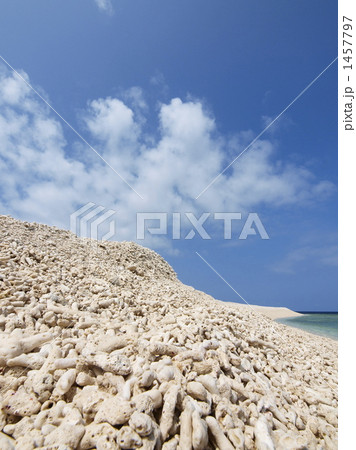 バラス島2 1457797