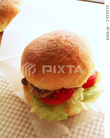 自家製バーガー 自家製バーガー 1459250