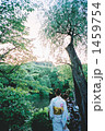 初夏 1459754