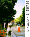 大銀杏 1459756
