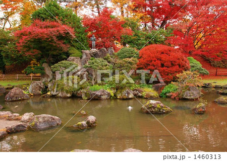 弘前公園の紅葉 1460313