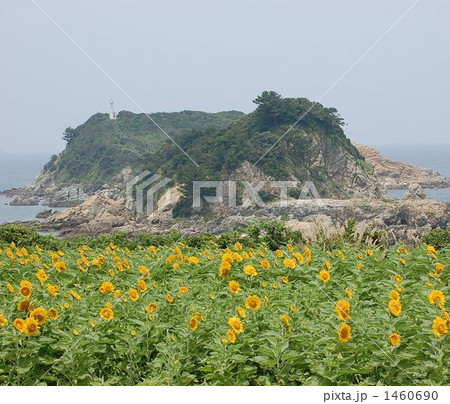 五島 立小島 五島 立小島 1460690