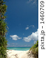 有人日本最南端の島の絶景ビーチ 1460709