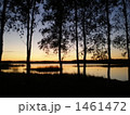 エストニア　夕暮れの湖沼 1461472