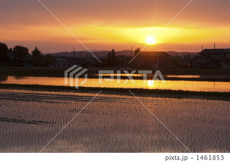 夕焼けの水田 1461853