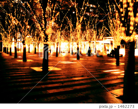 セピア イルミネーション 1462273