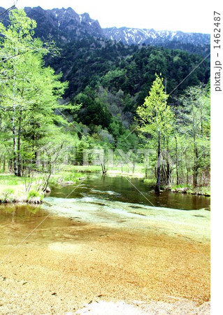 新緑の田代池と霞沢岳 1462487