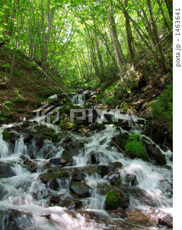 強清水の滝 1463641
