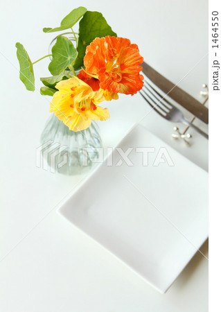 エディブルフラワーK エディブルフラワーK 1464550