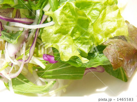 ●サラダ 1465583