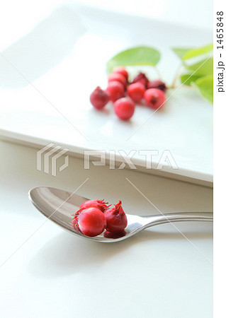 ジューンベリーK 1465848