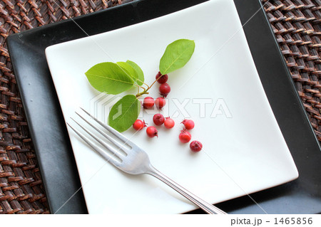 皿とジューンベリー 1465856