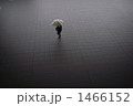 solitude 1466152