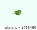 1466460