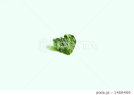 1466460