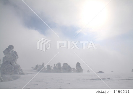 八甲田　樹氷 1466511