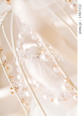 かごの中の小鳥 かごの中の小鳥 1467332