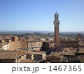 イタリア　歴史地区－シエナ－ 1467365