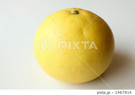 パール柑C パール柑C 1467914