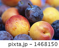 夏の果物 夏の果物 1468150