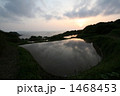 夕日と棚田 1468453
