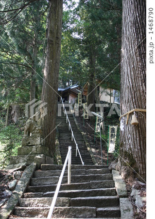金持神社 1468790
