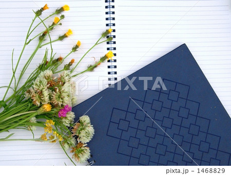 道草の草 道草の草 1468829