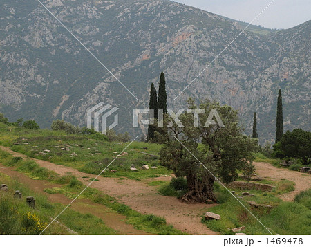 世界遺産「デルフィの考古遺跡」の「 競技場」(ギリシャ) 世界遺産「デルフィの考古遺跡」の「 競技場」(ギリシャ) 1469478