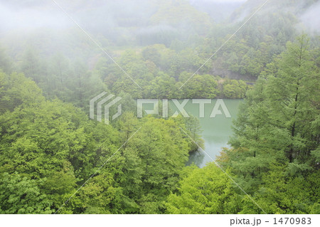 春の奥裾花渓谷 春の奥裾花渓谷 1470983