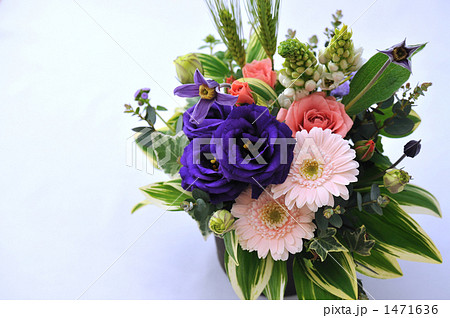 Vioret　Ranaunculus Arrnegement 1471636