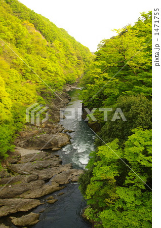 高津戸峡にて 高津戸峡にて 1471755