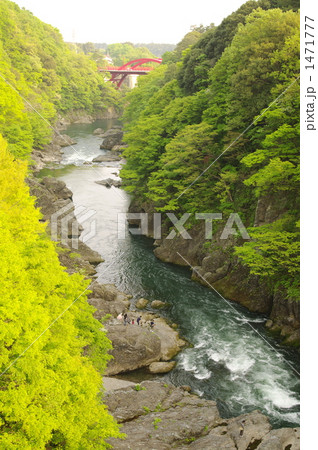 高津戸峡より 1471777
