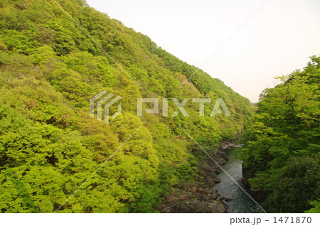 高津戸峡にて 1471870