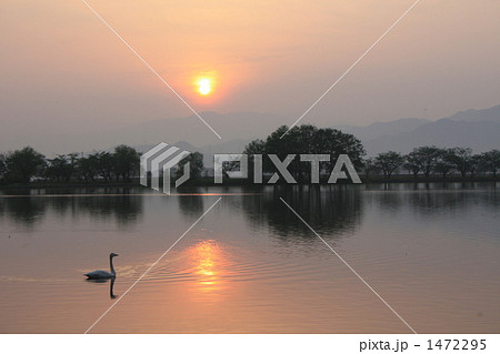 湖面に映る朝焼け 1472295