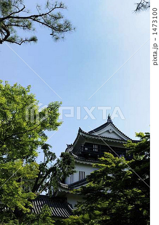 徳川家康 1473100