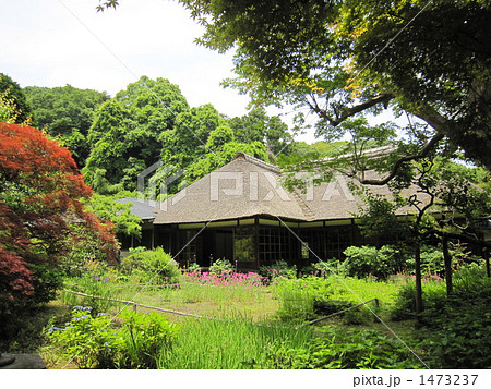 浄智寺の茅葺屋根 浄智寺の茅葺屋根 1473237