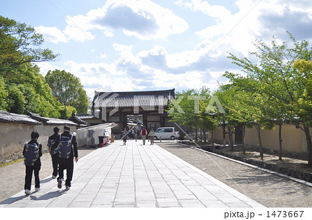 奈良　修学旅行 1473667