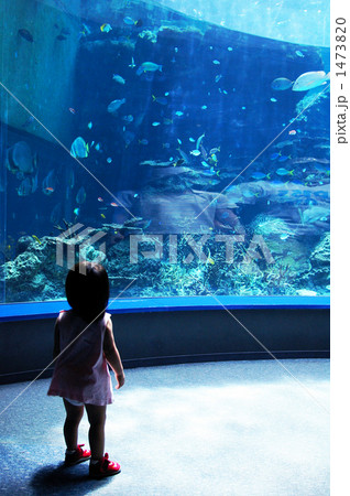 水槽の前でたたずむ女の子 1473820